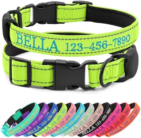 Personalized Nylon Dog Collar with Embroidered Name, Green