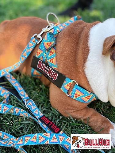 BULLHUG 6 FT Bulldog Leash with Padded Handle. Perfect for Bulldogs, French Bulldogs, Pugs & All Breeds. Leashes for Walking, Training Lead for Bulldogs (Pizza)