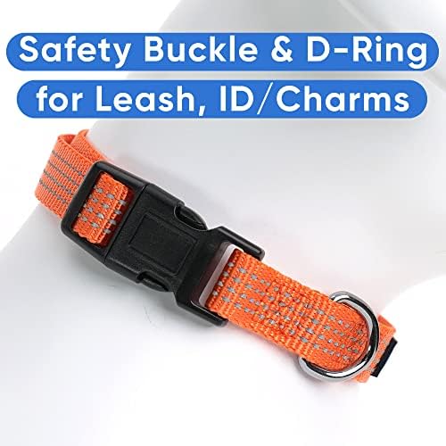 Pawtitas Reflective Dog Collar for X-Small Dogs – Adjustable Nylon Puppy Collar with Quick-Release Buckle | Fits Neck 8–13 in | Night Safety Training Collar | XS | Orange