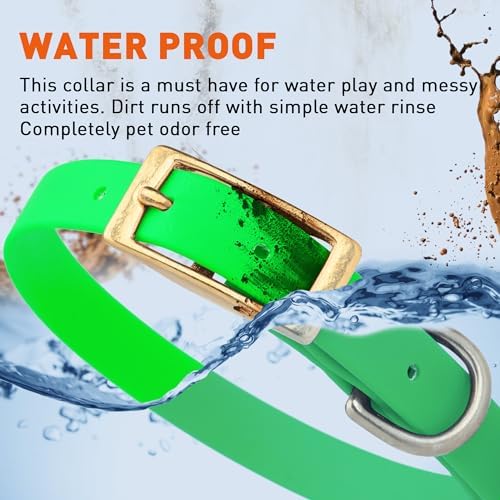 Viper Biothane Heavy Duty Waterproof Dog Collar Strong Coated Nylon Webbing w/Solid Brass Hardware Odor-Proof Easy to Clean High Performance Fits Small Medium or Large Dogs, Tropical Green