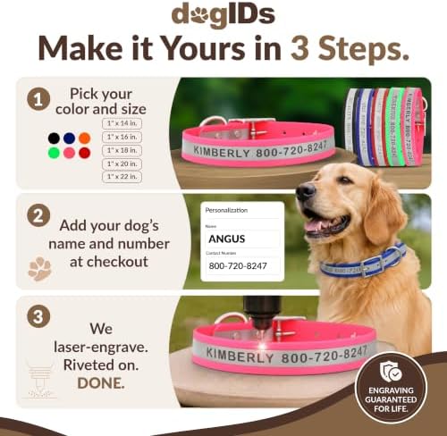 dogIDs Personalized Reflective Waterproof Dog Collar - Custom, Durable, Adjustable, Odor Resistant, Safe, Engraved - Pink, 1 in x 20 in (Fits Neck Sizes: 18-22 in)