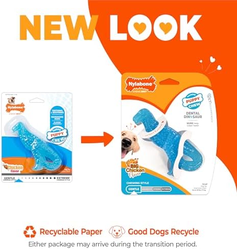 Nylabone Puppy Chew Dental Dinosaur Dog Chew Toy, Chicken Flavor, Small
