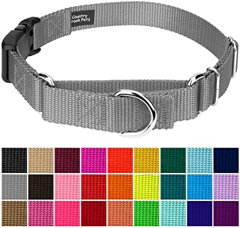 Martingale Dog Collar - Heavy Duty Nylon Adjustable Martingale Dog Collar with Plastic Buckle for Small Medium Large Breeds - 30+ Colors (5/8 Inch, Extra Small, Silver)