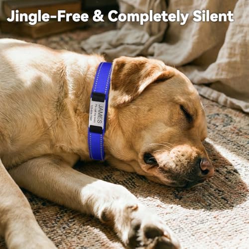 Joytale Personalized Dog Collar with Name Plate Built-in for Small Dogs