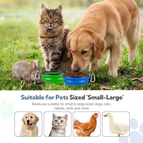 Collapsible Dog Bowl Large 34oz, Travel Dog Water Bowl Portable