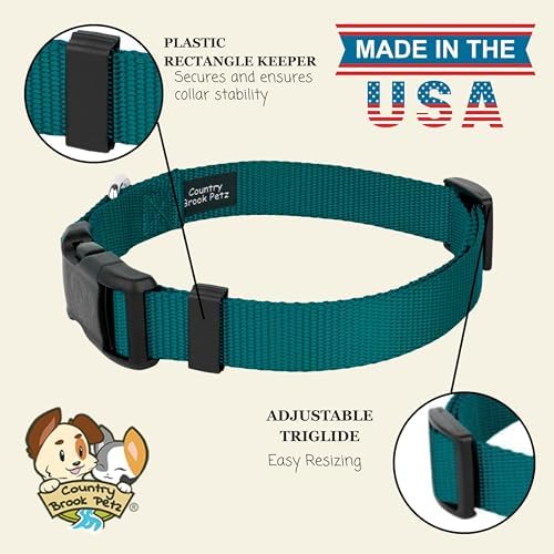 Country Brook Petz - Everyday Nylon Dog Collar for Large, Medium, and Small Dogs and Puppies - for Everyday Use in 30+ Colors (3XS, 3/8 Inch Wide, Teal)