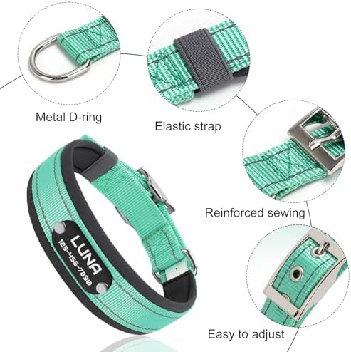 Personalized Reflective Dog Collar with Name, Blue: XL