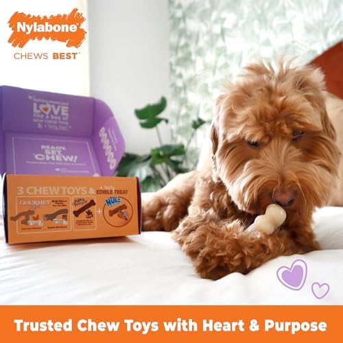 Nylabone Dog Gift Box, Strong Chew Toys & Treat, Small, 4 Count