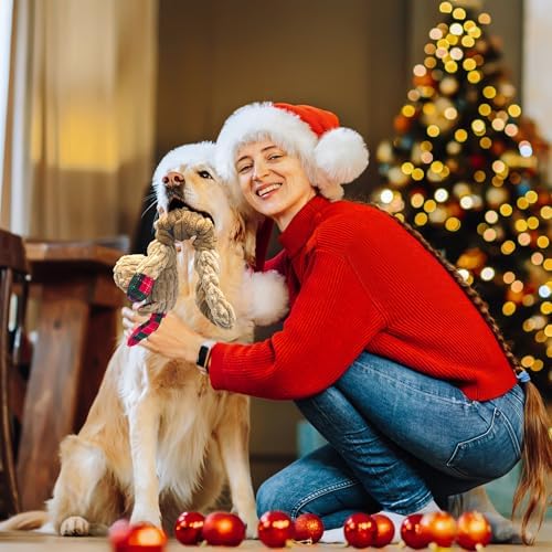 Squeaky Dog Toys, Stuffed Large Dog Toys to Keep Them Busy, Interactive Plush Chew Toys with Crinkle Paper, Tough Pet Animal Toys for Small Medium Large (Red C)