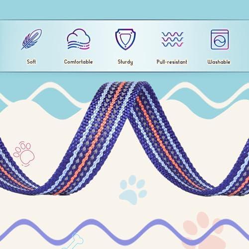 Reflective Dog Collar and Leash Set (4 FT/5 FT) for Small Dogs