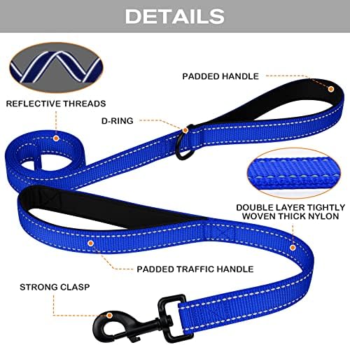 Joytale Dog Leash for Large Dogs that Pull, Double Handle, 6FT, Royal Blue