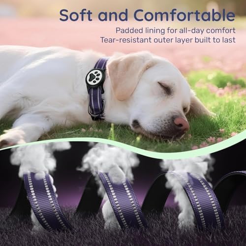 Premium Airtag Dog Collar，with IP68 Waterproof AirTag Holder,Purple,XL