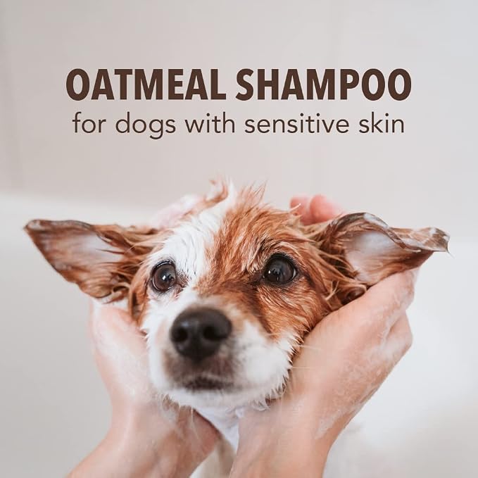 Sergeant’s Fur-So-Fresh Oatmeal Dog Grooming Shampoo, 18 oz | Ideal for Sensitive Skin, Milk and Honey Scent, Dog Bath Product, 18oz