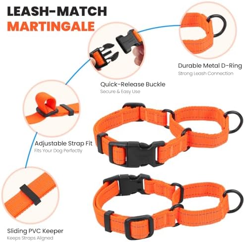 VIVAGLORY Double Handle Dog Leash Twingrip, 5ft x 1in, M, Orange