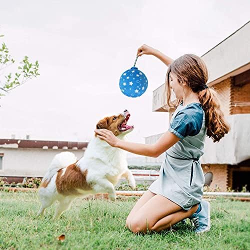 PrimePets Plush Balloon Crinkle Dog Toy for Medium Large Small Dogs