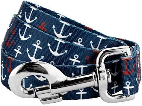 Country Brook Petz - Anchors Away Everyday Dog Leash - Summer Breeze Collection Featuring Sunny Designs (6 Foot, 3/4 Inch Wide)