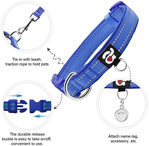 azuza Reflective Dog Collar, Neoprene Padded Puppy Collar, Royal Blue, XS