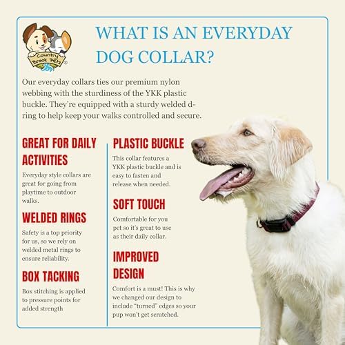 Country Brook Petz - Everyday Nylon Dog Collar for Large, Medium, and Small Dogs and Puppies - for Everyday Use in 30+ Colors (Small, 3/4 Inch Wide, Burgundy)