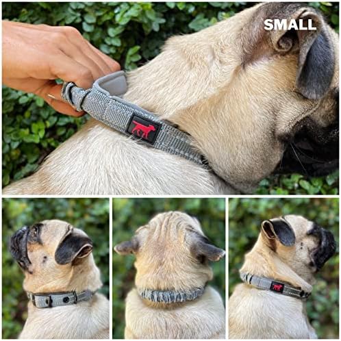 Tuff Pupper Heavy Duty Dog Collar with Handle | Ballistic Nylon Heavy Duty Collar | Padded Reflective Dog Collar with Adjustable Stainless Steel Hardware | Convenient Sizing for All Breeds