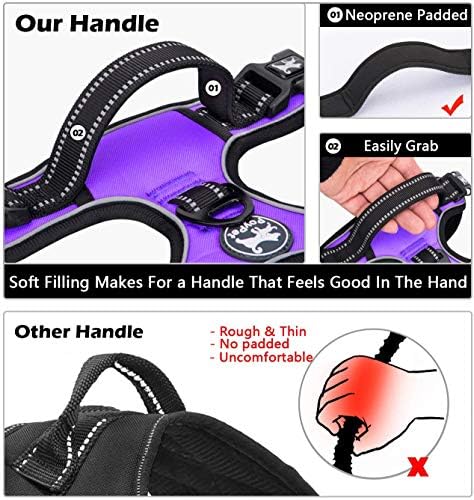 PoyPet Dog Harness and Leash Set, No Pull Vest with Front Clip and Handle