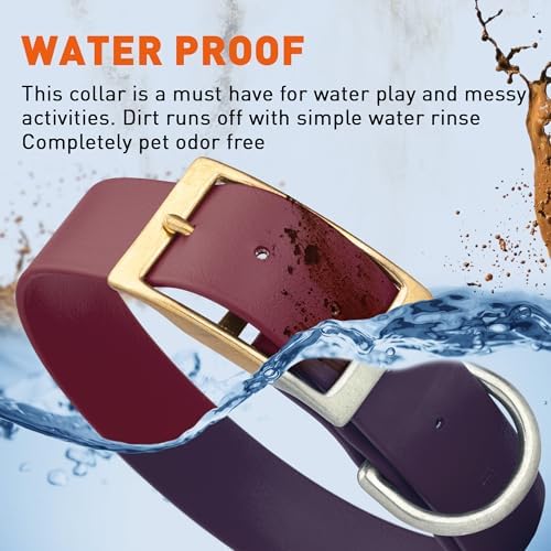 Viper Biothane Heavy Duty Waterproof Dog Collar Strong Coated Nylon Webbing w/Solid Brass Hardware Odor-Proof Easy to Clean High Performance Fits Small Medium or Large Dogs, Merlot Burgundy