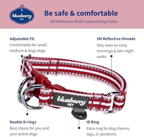 Blueberry Pet Safety Dog Collar with Dual D-Rings | 3M Reflective Multi-Colored Adjustable Collar in Marsala Red and Pink | Soft Nylon Dog Collar for Active Small Dogs
