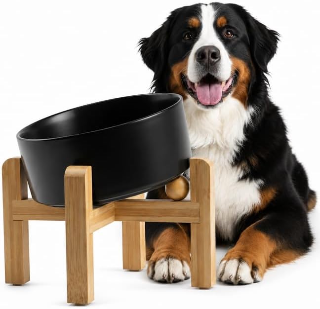 hjn Elevated Ceramic Dog Bowl 15°Slanted Raised Dog Bowl with Bamboo Stand for Small Medium Dogs and Cats, Pet Feeder -7.6-Cup (1800ml)-Black