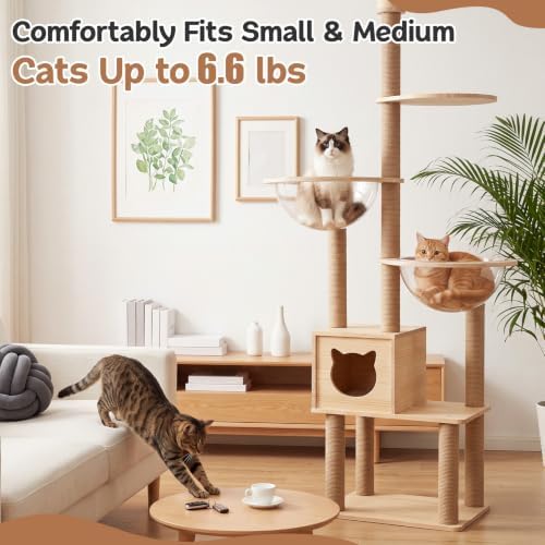 Yalikop 6 Pcs Cat Acrylic Dome Bubble, 11.8 Inch Space Transparent Capsule