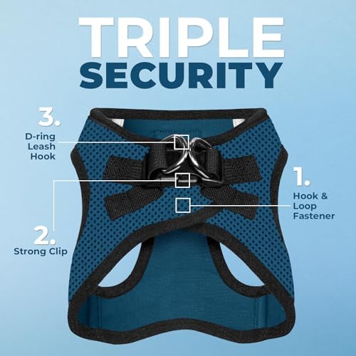 Best Pet Supplies Voyager Step-in Air All Weather Mesh Harness and Reflective Dog 5ft Leash Combo with Neoprene Handle, for Small, Medium and Large Breed Puppies - Blue/Black Trim, X-Small