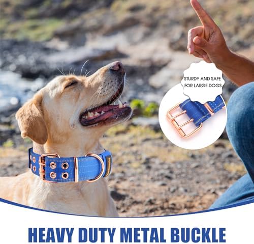 Heavy Duty Dog Collar for Medium Large Dogs,Blue,Medium