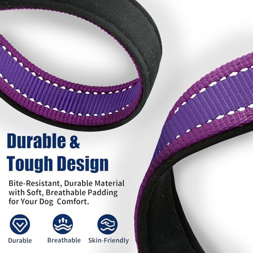 Kazazoo Small Dog Collar,Reflective Puppy Collar with Soft Padding Dog Collar No Pull,Lightweight, Nylon Collar for Puppies, Bichon Frisé, Papillon & Poodle Dogs 5-15 Lbs Purple-S