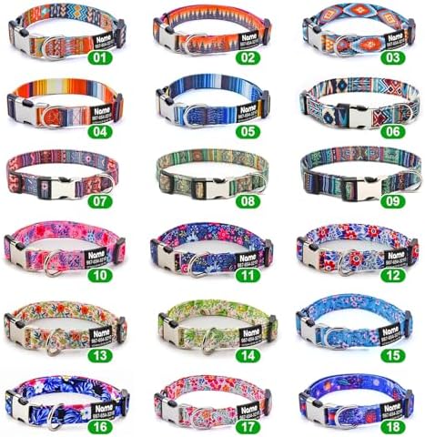 Engraved Personalized Dog Collar with Name Plate - Customized with ID Tag and Phone Number - 6 Styles for Boys, Girls, Male, Female, Puppies - Thin, Fancy Basic Collar (X-Large)