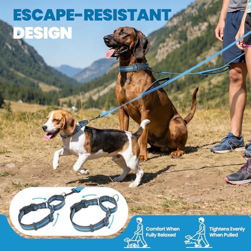 VIVAGLORY Double Handle Dog Leash Twingrip, 5ft x 1in, L, Blue Grey