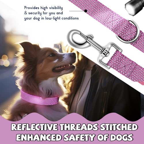 Reflective Dog Collar and Leash Set, Nylon Dog Leash with Heavy-Duty Steel D-Ring, Adjustable with Quick Release Buckle for Medium Dogs, Purple M