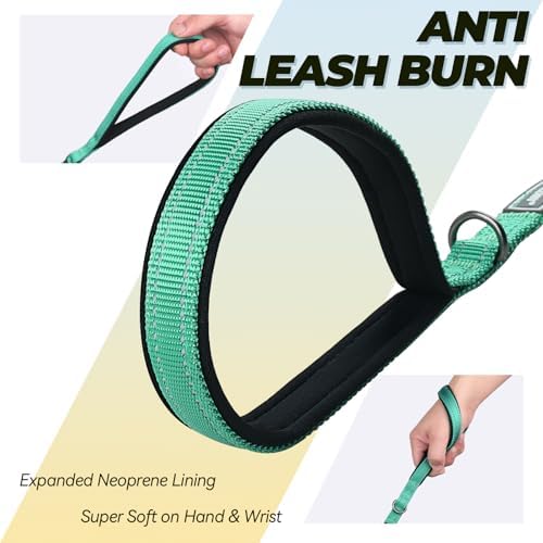 VIVAGLORY Double Handle Dog Leash Twingrip, 5ft x 1/2in, Turquoise