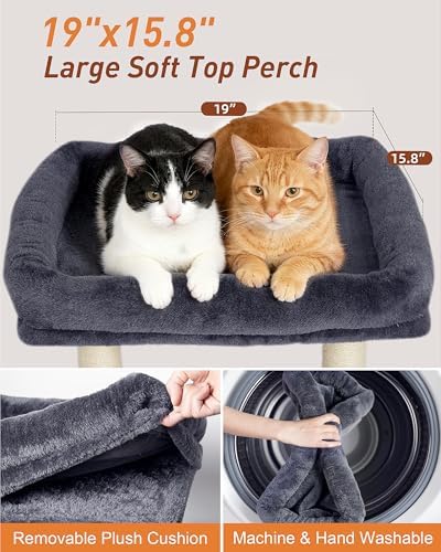 19" Small Cat Tree with Scratching Post for Indoor Cats with Perch