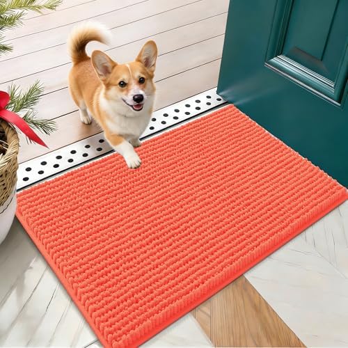 OLANLY Dog Door Mat for Muddy Paws 24x16, Extra Absorbent Chenille Mud Mat
