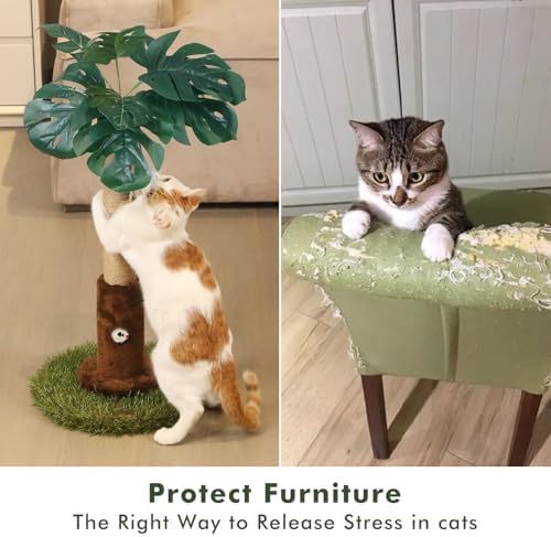 Woochpet 25" Kitten Scratching Post,sisal cat Scratcher Tree with Leaves