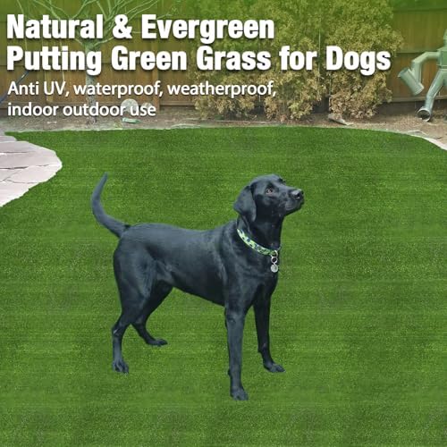 GLOBREEN Large Artificial Grass Outdoor for Dogs - 6 FT X 6 FT Fake Grass for Pets Potty Training - Turf Rug Roll for Kennel Playpen Whelping