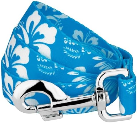 Country Brook Petz - Blue Hawaiian Everyday Dog Leash - Summer Breeze Collection Featuring Sunny Designs (6 Foot, 1/2 Inch Wide)