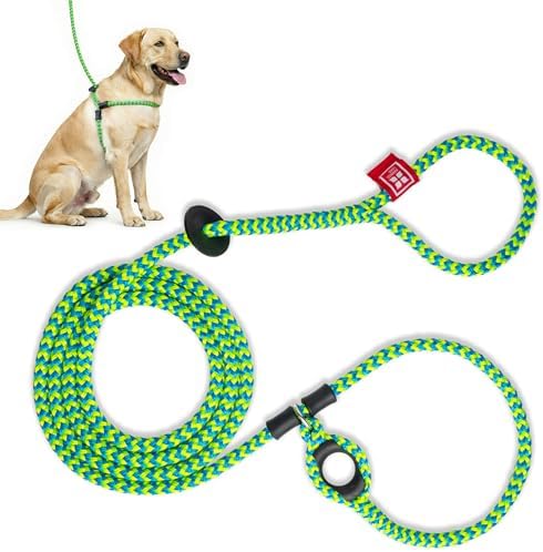 Harness Lead No Pull Dog Harness and Leash Set, Anti Pull Dog Harness, One-Piece Cushioned Rope Safely Prevents Escaping and Pulling (Medium/Large, Peacock/Blue/Lime)