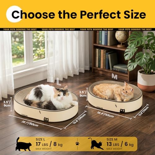 Conlun Oval Cat Scratcher Bed | Scratching Bowl Lounge for Kittens | Medium