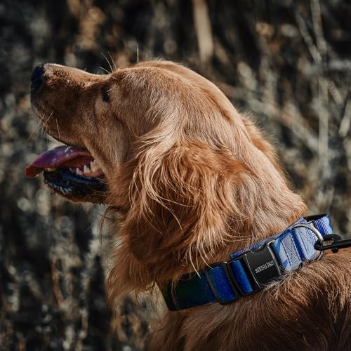 OneTigris Heavy Duty Dog Collar for Large Dogs with Traffic Handle Blue L