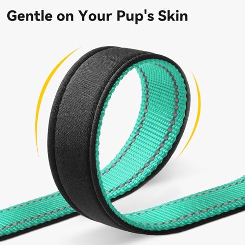 Joytale Personalized Dog Collar with Name Plate Built-in for Small Dogs