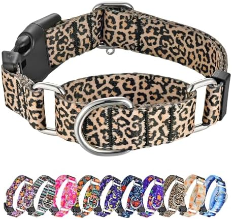 Hikiko Martingale Collar for Dogs with Special Pattern,Adjustable,S