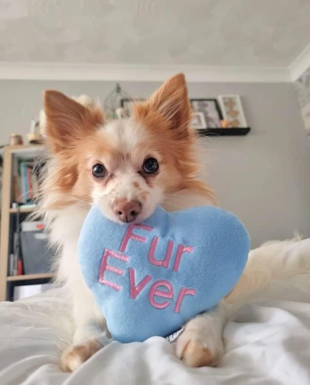 Midlee Candy Heart Valentine's Dog Toy- Set of 4 (Small)
