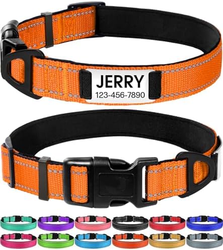 Joytale Personalized Dog Collar with Name Plate Built-in for XLarge Dogs