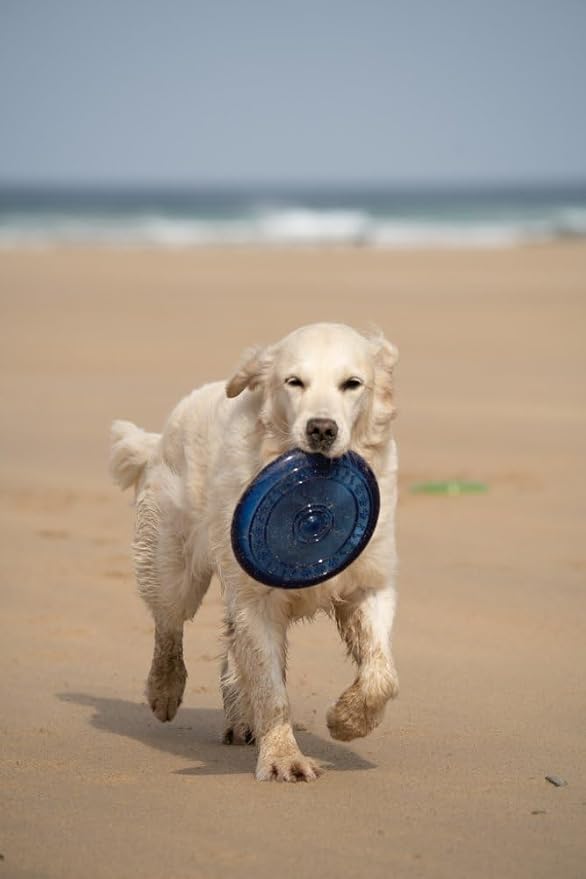 Petface Toyz Rubber Frisbee Dog Toy - Colour May Vary