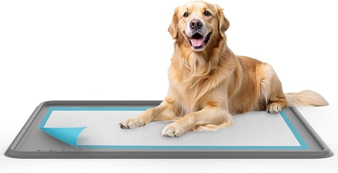 Dog Training Pad Silicone Tray - 35 x 28 in. No Spill Raised Lip High Edge Mat Holder, Extra Thick and Non-Slip for Indoor Floor Protection, Universal Fit Potty Training Pads (XL, Gray) | eenk