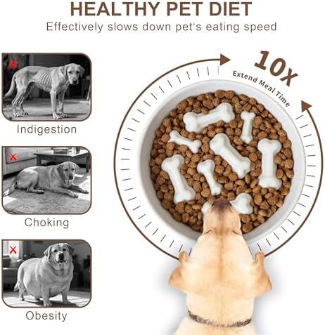 Ceramic Slow Feeder Dog Bowls, Ceramic Slow Feeder Maze Dog Food Bowl, Slow Eating Dog Bowl and Slow Feeder Dog Bowl Anti-Choking for Daily Pet Feeding （White Bone）
